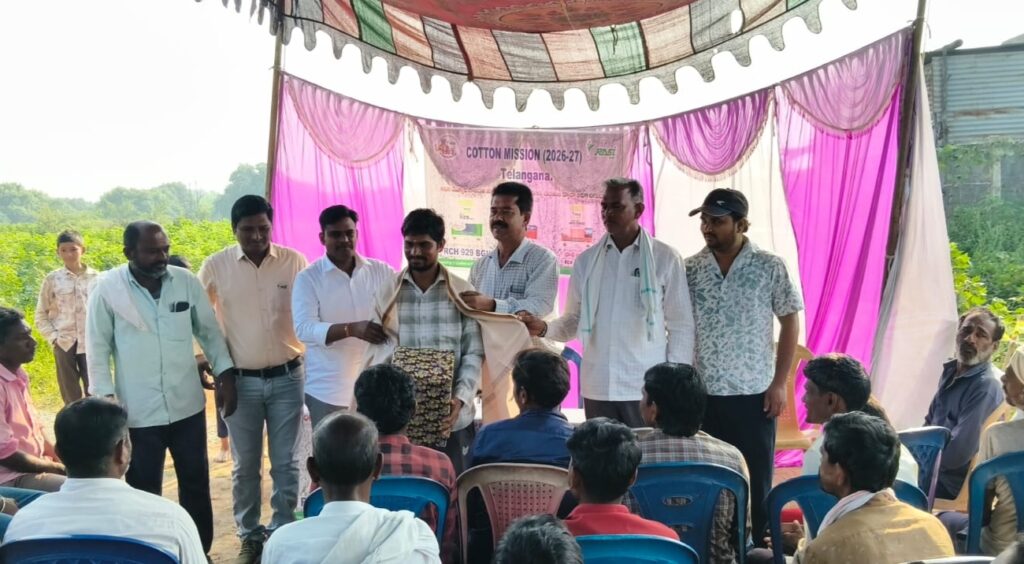 అధిక సాంద్రత పత్తి సాగుతో అధిక దిగుబడులు